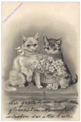 Zwei Katzen mit Blumenkorb