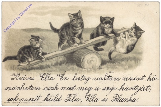 ak124690 Katzen auf Wippe