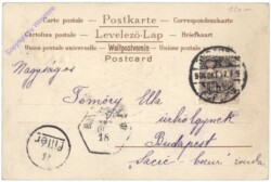 Katzen auf Wippe