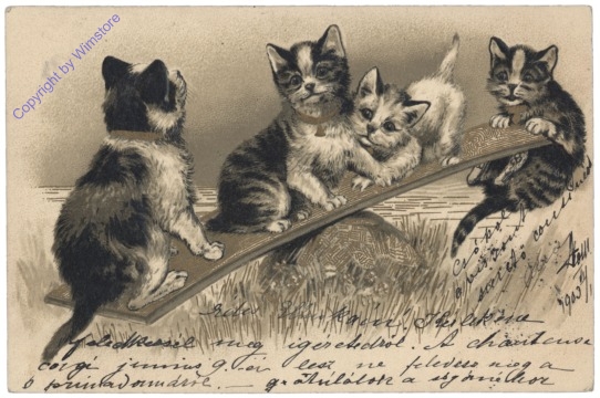 ak124691 Katzen auf Wippe