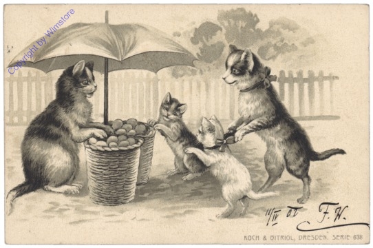 ak124692 Katzen am Markt