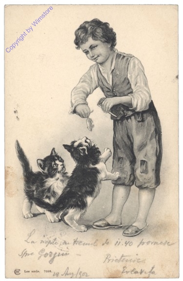 ak124696 Junge mit Katze