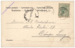 ak124696a Junge mit Katze