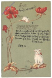 ak124707 Katz und Maus