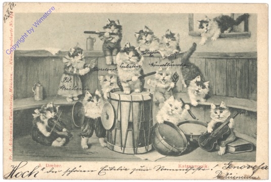 ak124709 Katzenmusik