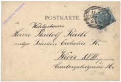 Katzenmusik