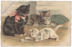 ak124713 Spielende Katzen