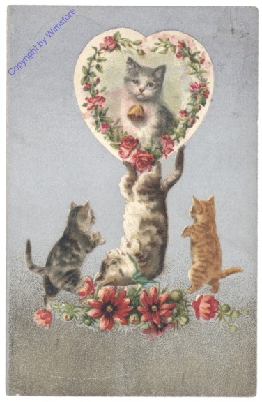 ak124722 Katzen