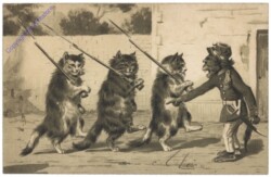 ak124723 Katzenkompanie