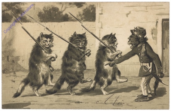 ak124723 Katzenkompanie