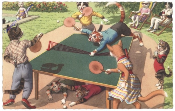 ak124728 Katzen beim Tischtennis
