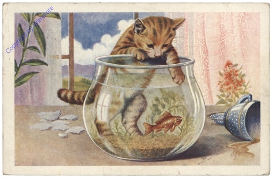 ak124733 Katze m Goldfischglas