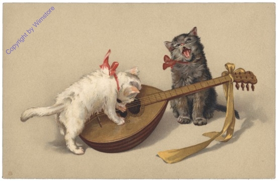 ak124747 Katzenmusik