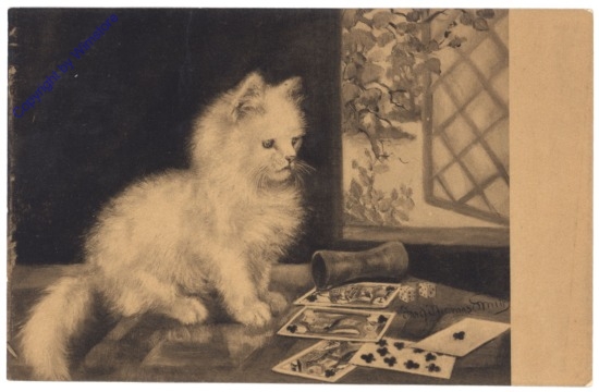 ak124748 Katze beim Spiel
