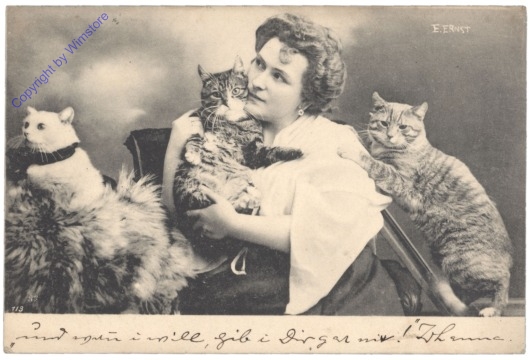 Dame mit Katzen