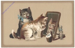 Katzen vorm Spiegel