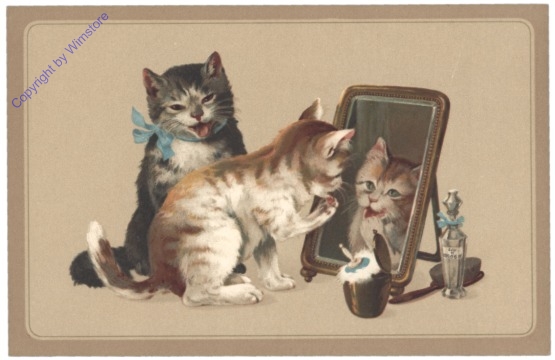 ak124755 Katzen vorm Spiegel