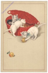 ak124757 Katzen im Korb