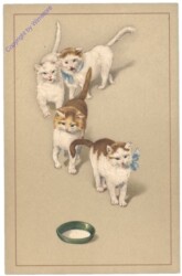 ak124758 Katzen