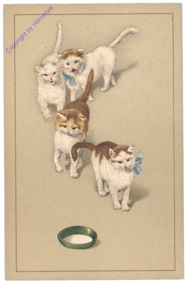 ak124758 Katzen
