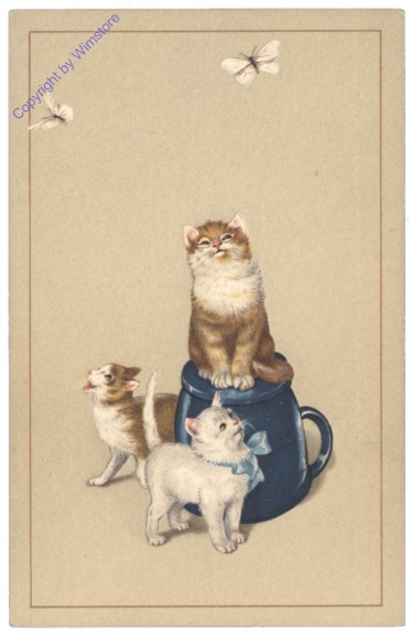 ak124759 Katzen