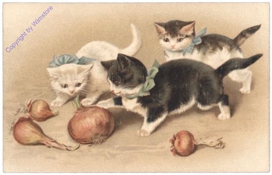 ak124760 Katzen mit Zwiebel