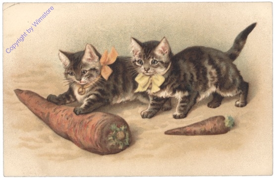 ak124761 Katzen mit Karotten