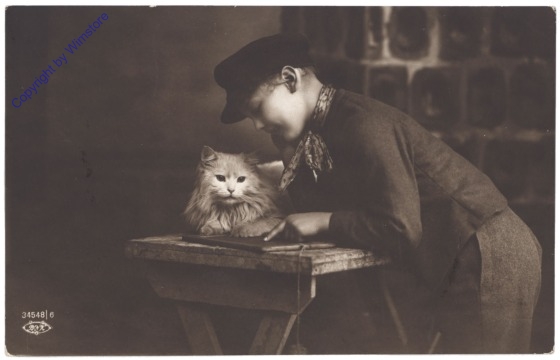 ak124769 Junge mit Katze