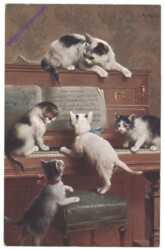 ak124774 Katzen am Klavier