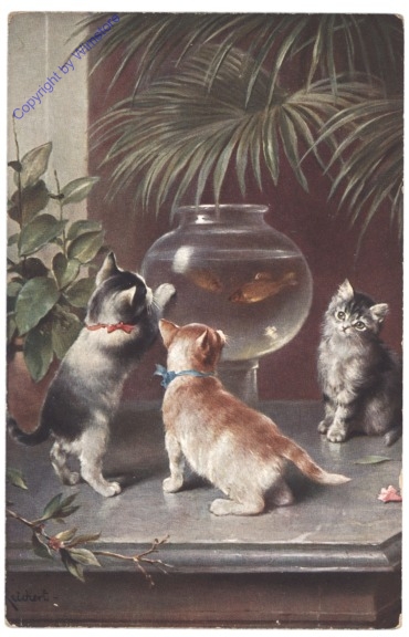 Drei Katzen vor dem Goldfischglas