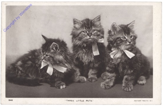 ak124789 Three little pets