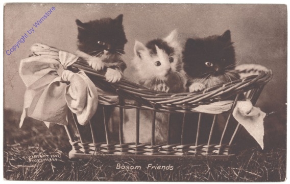 Bosom friends