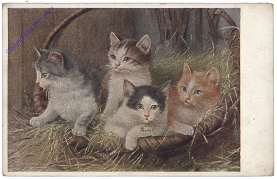 Vier Katzen
