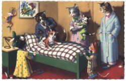 Doktor bei Familie Katze