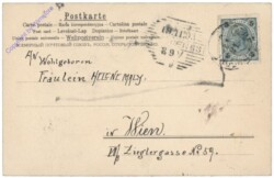 ak124830a Katzenbriefträger