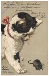 Katze  spielt mit Maus