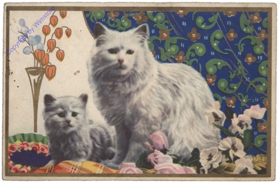 Zwei Katzen