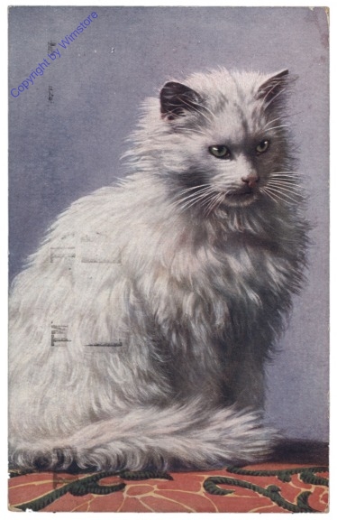 ak124837 Katze