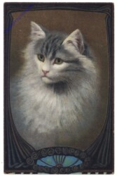 ak124841 Katzenportrait