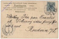 ak124843a Katzenmusik