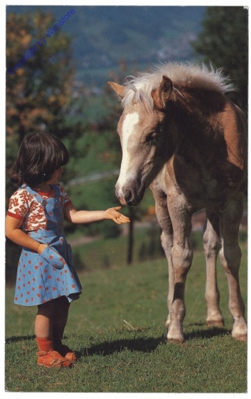 Mädchen mit Pferd