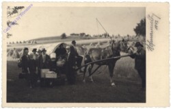 Pferdekutsche, Ausfahrt