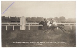 Hürdenrennen, Bruno Urbans, Aberg. Schnellein, Raptor II.