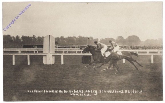 Hürdenrennen, Bruno Urbans, Aberg. Schnellein, Raptor II.