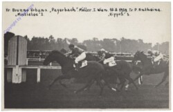 Hr. Brunno Urbans "Payerbach". Müller I. Wien 18.9.1929. Tr. P. Anthoine. "Mistletoe" 2. Hippos 3