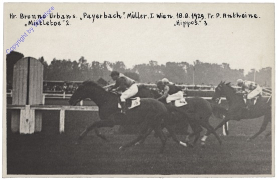 Hr. Brunno Urbans "Payerbach". Müller I. Wien 18.9.1929. Tr. P. Anthoine. "Mistletoe" 2. Hippos 3
