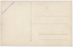 Hr. Brunno Urbans "Payerbach". Müller I. Wien 18.9.1929. Tr. P. Anthoine. "Mistletoe" 2. Hippos 3