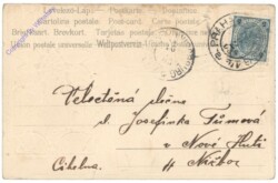 Birnen mit Spinnennetz