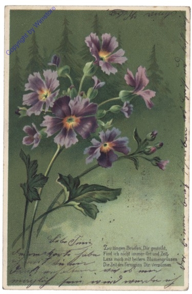 Blumengrüße, Vers