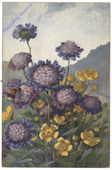 Blumen mit einer Hummel